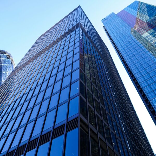 Understanding Corporate Shareholder Rights